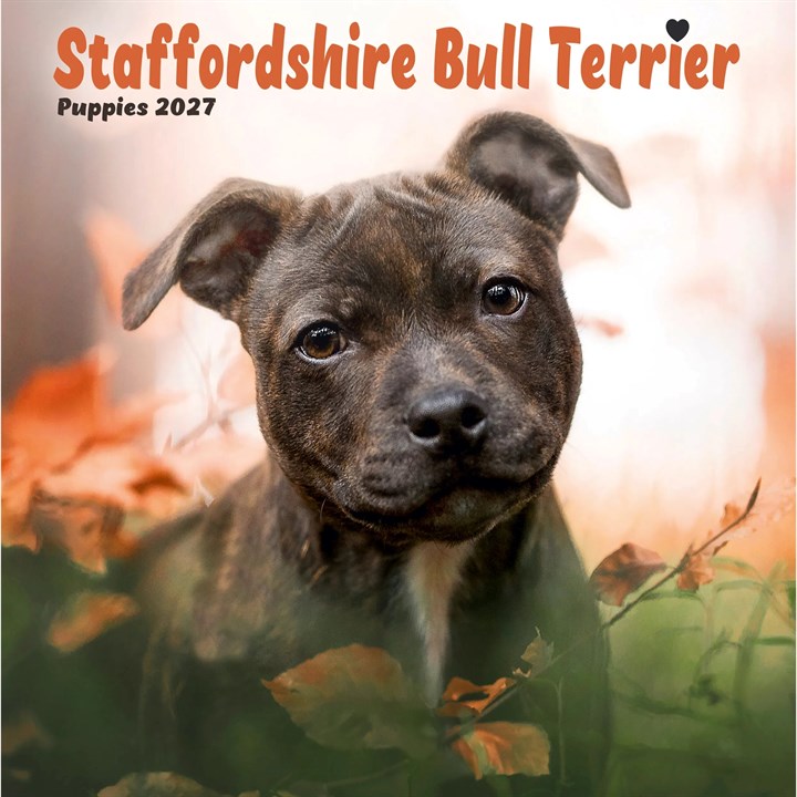 Staffordshire Bull Terrier Puppies Mini Calendar 2027