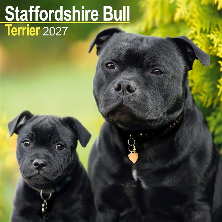 Staffordshire Bull Terrier Calendar 2027