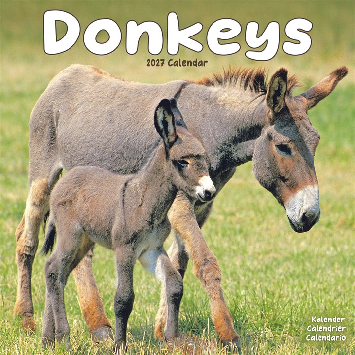 Donkeys Calendar 2027