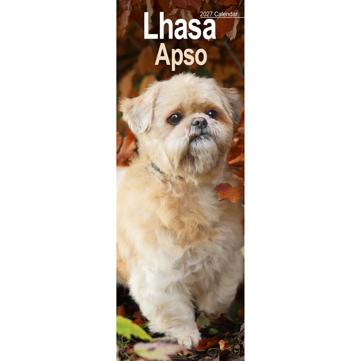 Lhasa Apso Slim Calendar 2027