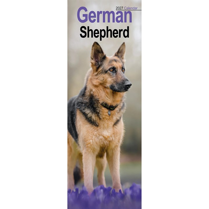 German Shepherd Slim Calendar 2027
