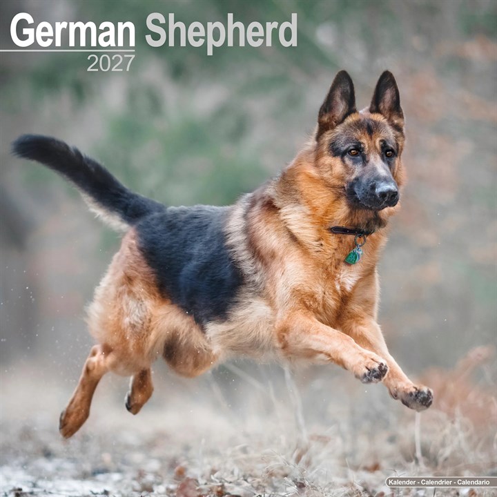 German Shepherd Calendar 2027