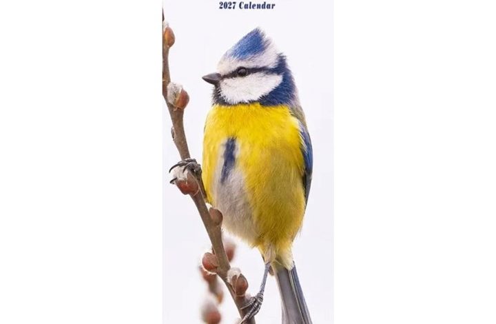 Garden Birds Slim Calendar 2027
