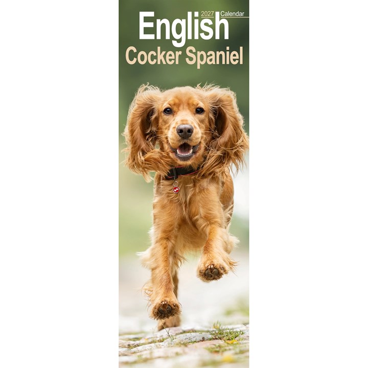 English Cocker Spaniel Slim Calendar 2027