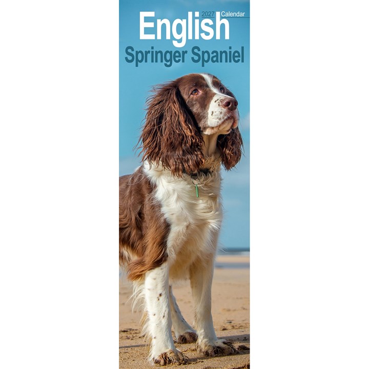 English Springer Spaniel Slim Calendar 2027