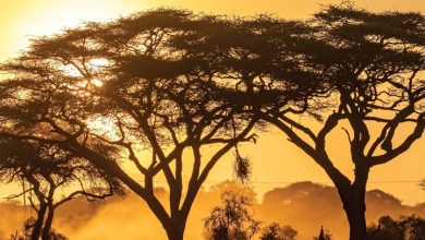 Africa Calendar 2027