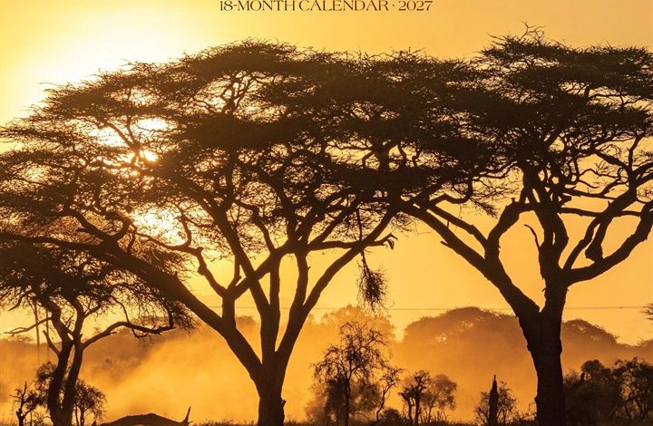 Africa Calendar 2027