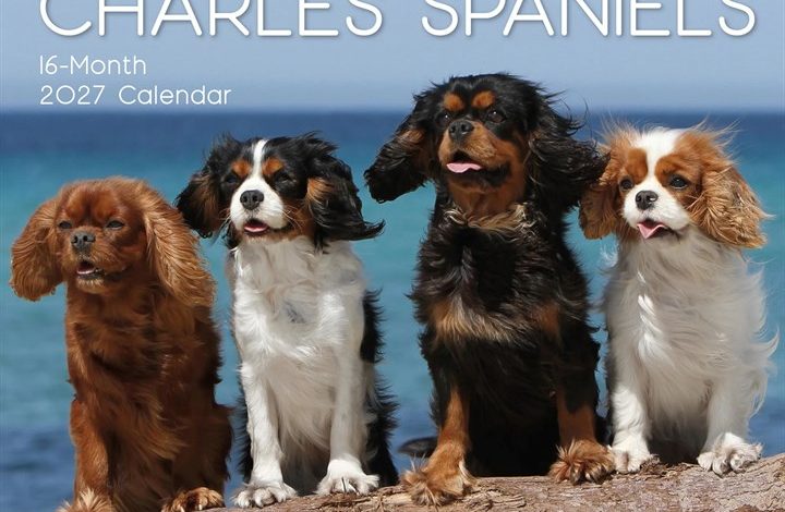 Cavalier King Charles Spaniels Calendar 2027