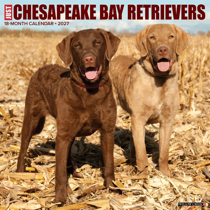 Just Chesapeake Bay Retrievers Calendar 2027