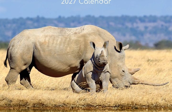 Safari Calendar 2027