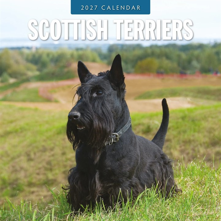 Scottish Terriers Calendar 2027