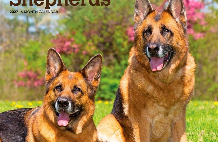 German Shepherds Calendar 2027