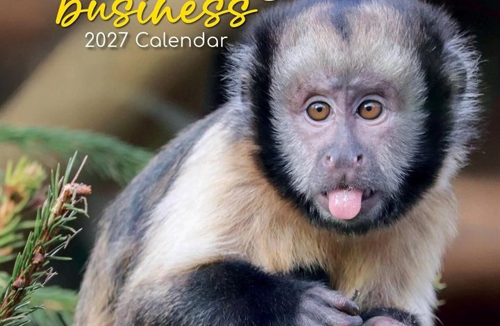 Monkey Business Calendar 2027