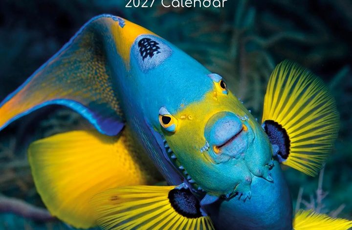 Under The Sea Calendar 2027
