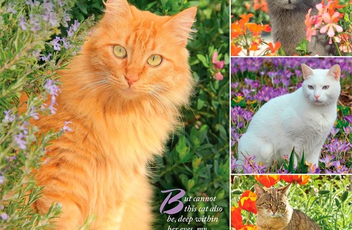 Cat Lovers Calendar 2027