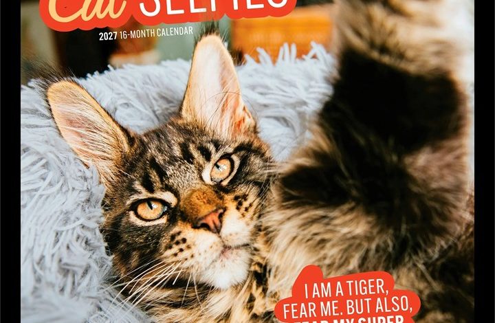 Cat Selfies Calendar 2027