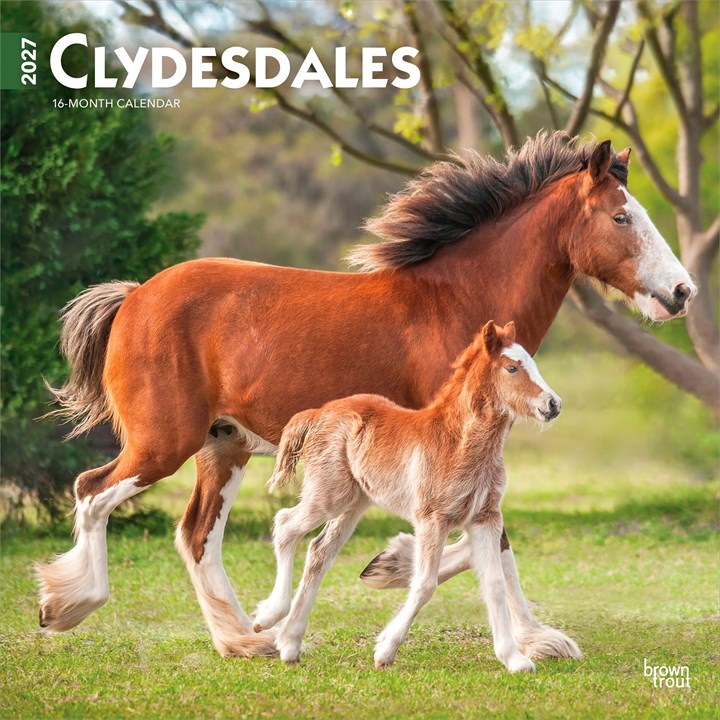 Clydesdales Calendar 2027