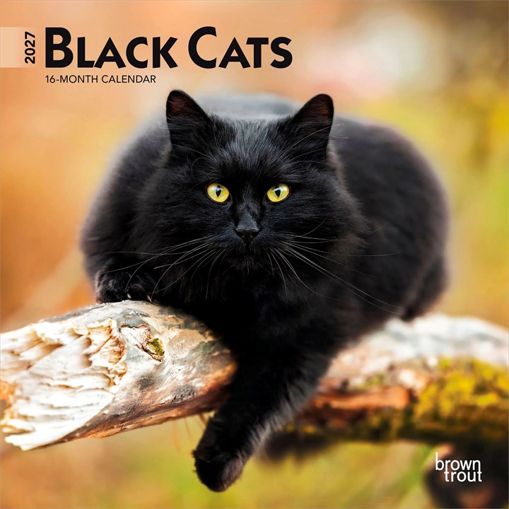 Black Cats Mini Calendar 2027