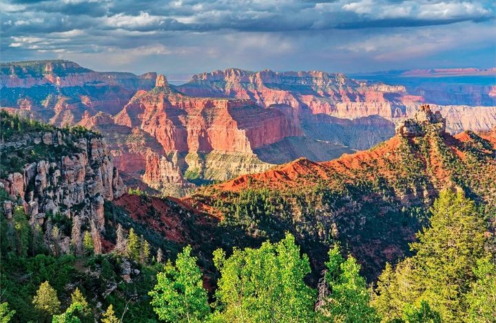 Wild & Scenic