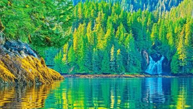 Wild & Scenic