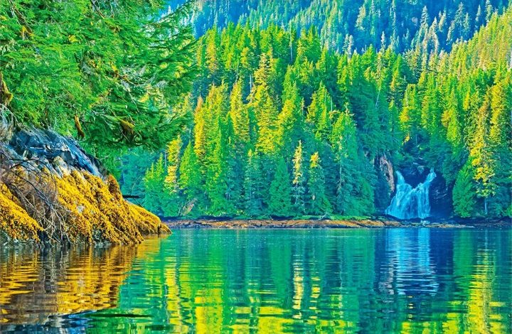 Wild & Scenic