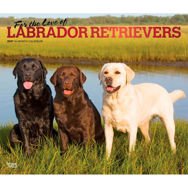 For The Love Of Labrador Retrievers Deluxe Calendar 2027