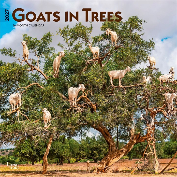 Goats In Trees Calendar 2027