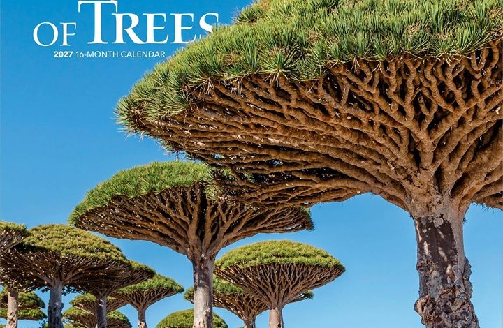 The Majesty of Trees Calendar 2027