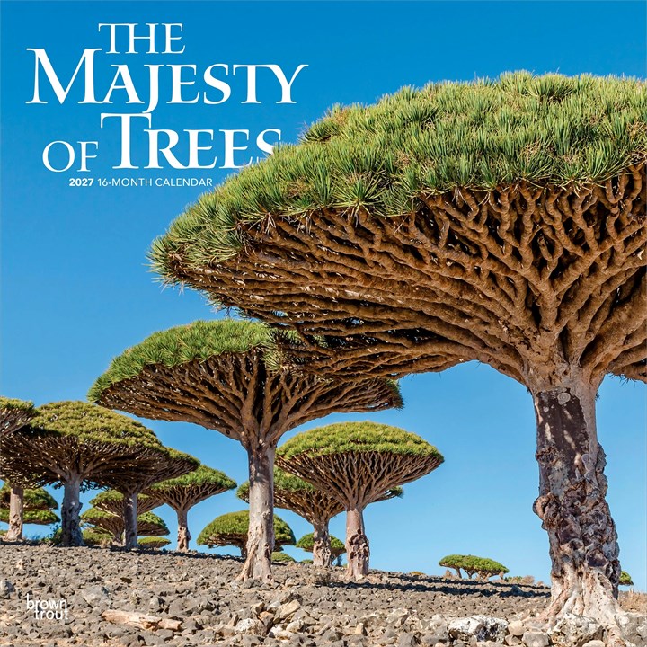 The Majesty of Trees Calendar 2027