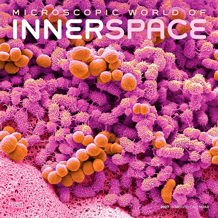 Microscopic World of Innerspace Calendar 2027