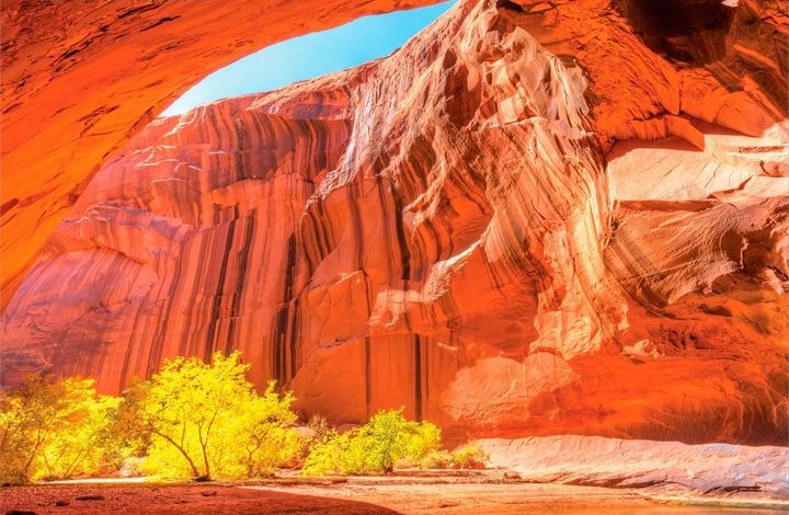Wild & Scenic