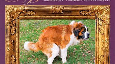 Doggie Doo Doo Calendar 2027
