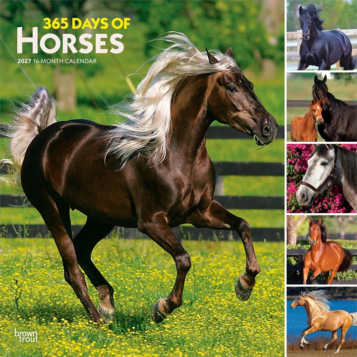 365 Days Of Horses Calendar 2027