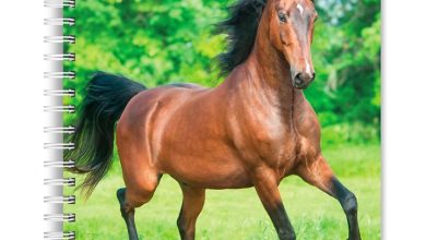 Horse Lovers A5 Diary 2027