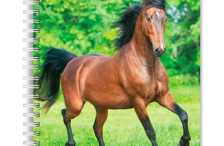 Horse Lovers A5 Diary 2027