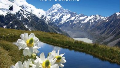 Majestic New Zealand Calendar 2027
