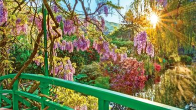 Monet's Garden Calendar 2027