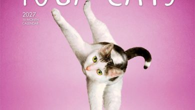 Yoga Cats Calendar 2027