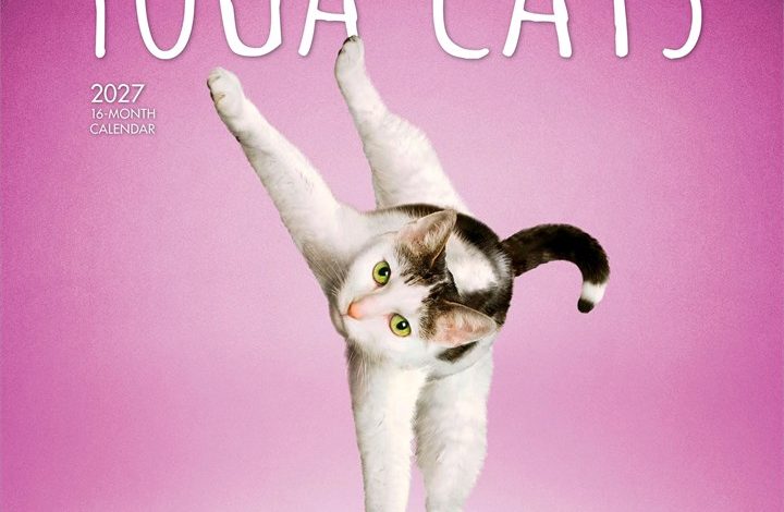 Yoga Cats Calendar 2027
