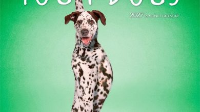 Yoga Dogs Calendar 2027