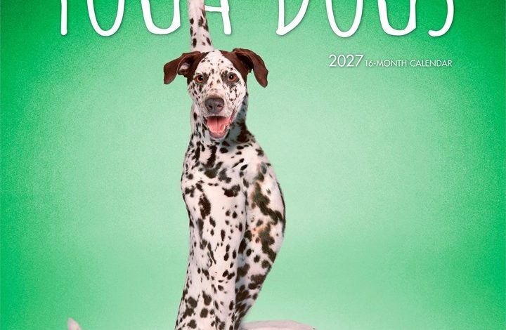 Yoga Dogs Calendar 2027