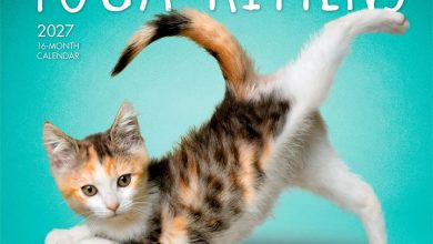 Yoga Kittens Mini Calendar 2027