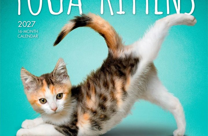 Yoga Kittens Mini Calendar 2027