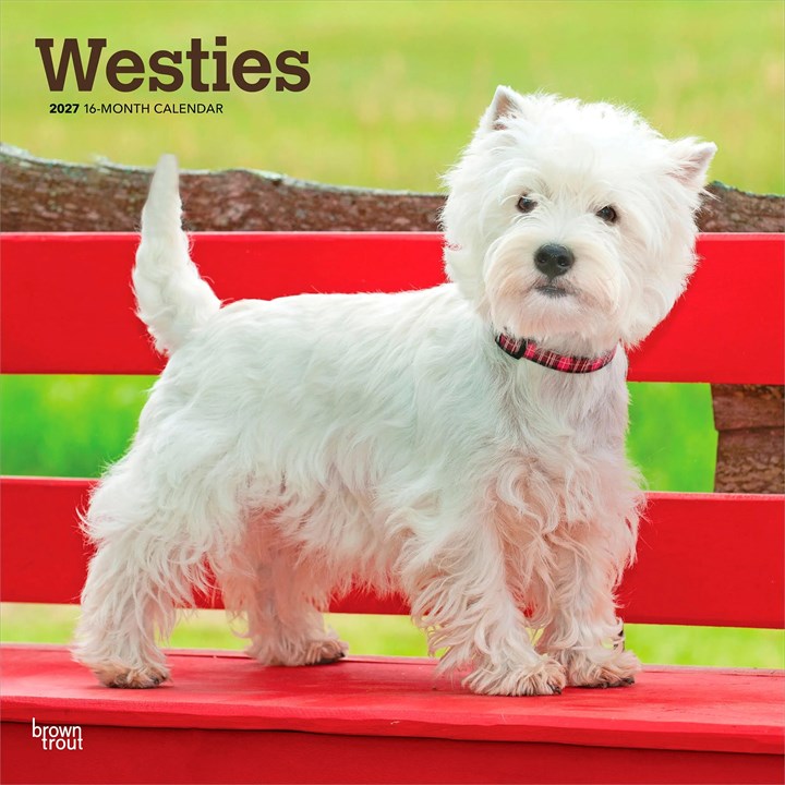 Westies Calendar 2027