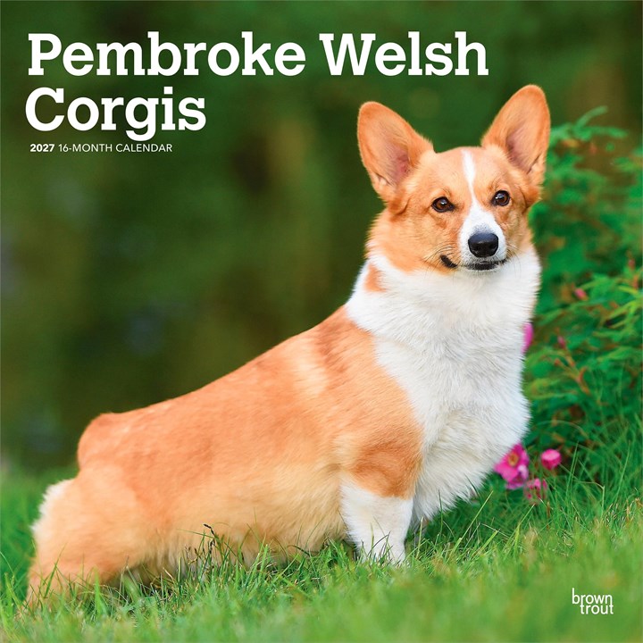 Pembroke Welsh Corgis Calendar 2027