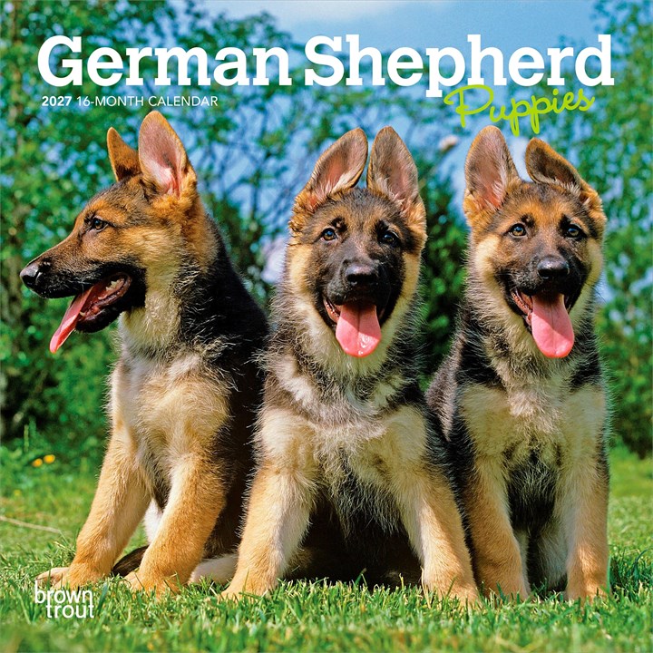 German Shepherd Puppies Mini Calendar 2027