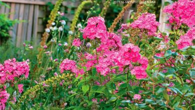 Gardens Calendar 2027