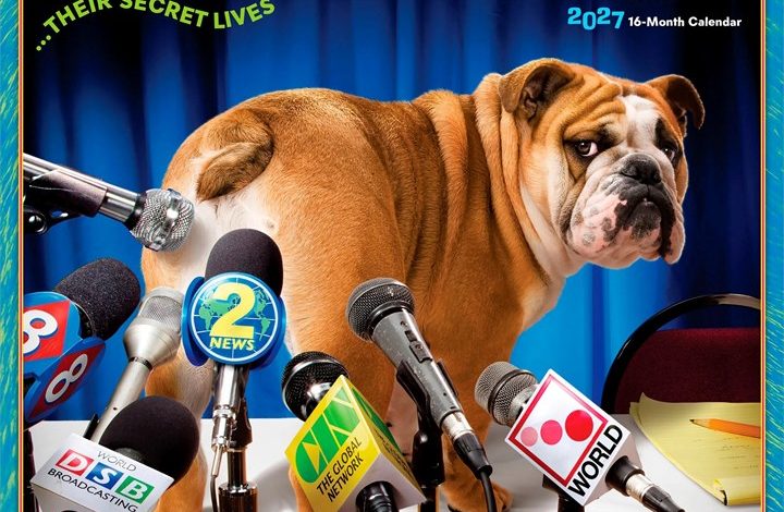 Dogs Gone Wild Calendar 2027