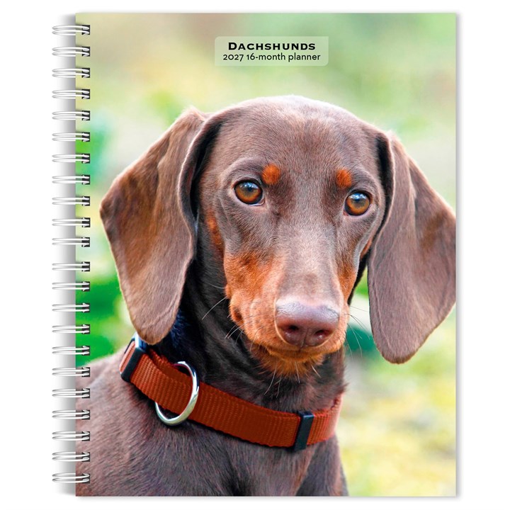 Dachshunds A5 Diary 2027