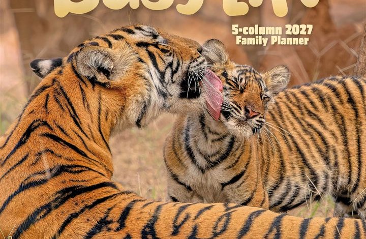 The Busy Life Family Planner 2027